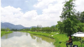 從昔日洼地到今日景區(qū) 村企抱團(tuán)，繪就旅游開(kāi)發(fā)新畫卷
